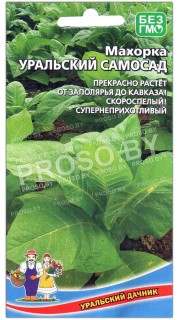 Махорка Уральский самосад
