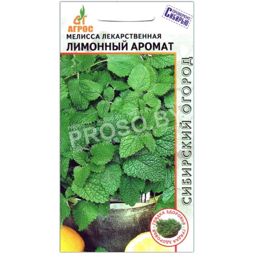 Мелисса лекарственная Лимонный аромат-1