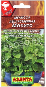 Мелисса лекарственная Махито