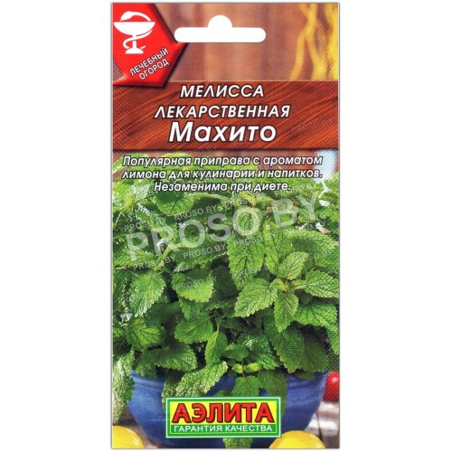 Мелисса лекарственная Махито