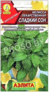 Мелисса лекарственная Сладкий сон