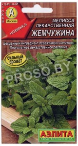 Мелисса лекарственная Жемчужина