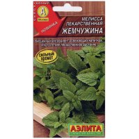 Мелисса лекарственная Жемчужина