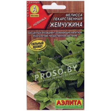 Мелисса лекарственная Жемчужина