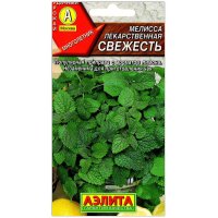 Мелисса Свежесть