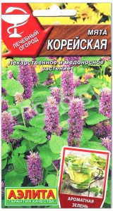 Мята Корейская