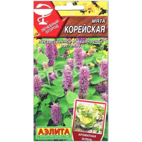 Мята Корейская