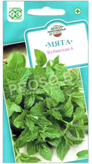 Мята Кубанская 6