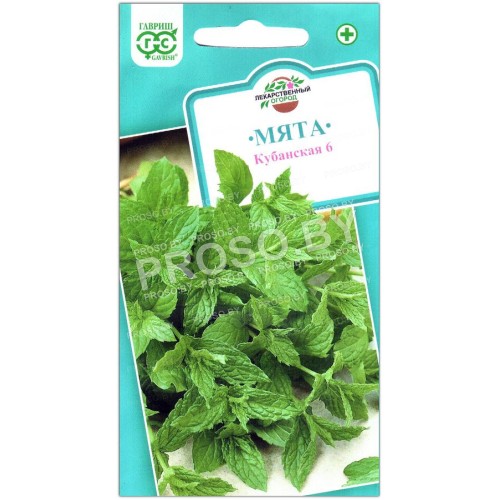 Мята Кубанская 6