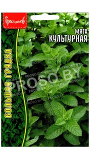 Мята Культурная