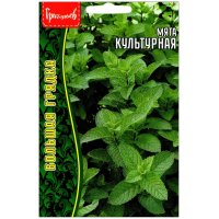 Мята Культурная