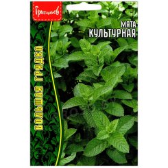 Мята Культурная