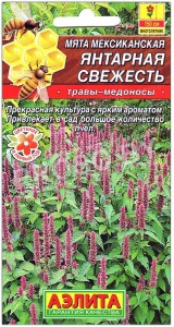 Мята мексиканская Янтарная свежесть