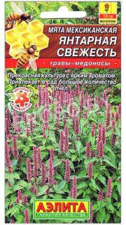 Мята мексиканская Янтарная свежесть