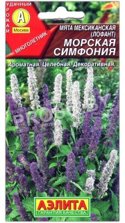 Мята мексиканская (лофант) Морская симфония