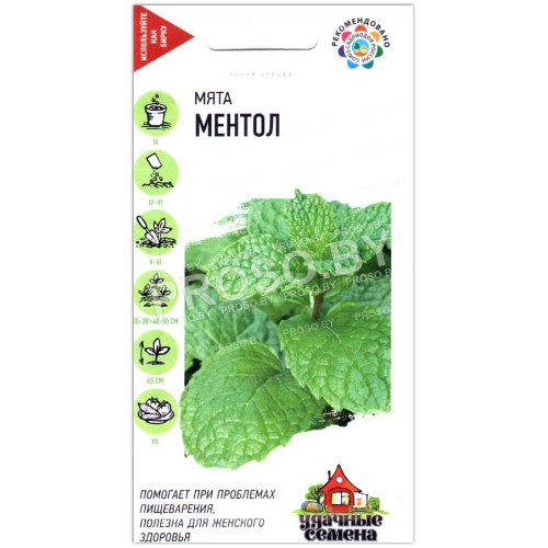 Мята Ментол