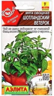 Мята овощная Шотландский ветерок
