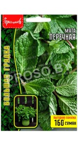 Мята Перечная