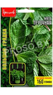 Мята Перечная