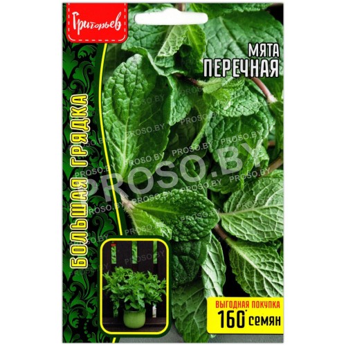 Мята Перечная
