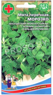 Мята перечная Морозко