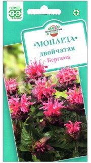 Монарда двойчатая Бергама
