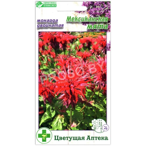 Монарда двойчатая Мексиканская мята