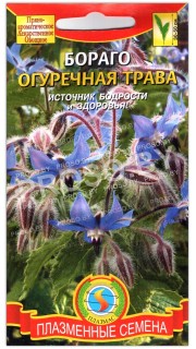 Огуречная трава Бораго