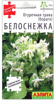 Огуречная трава бораго Белоснежка