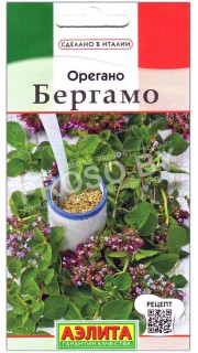 Орегано Бергамо