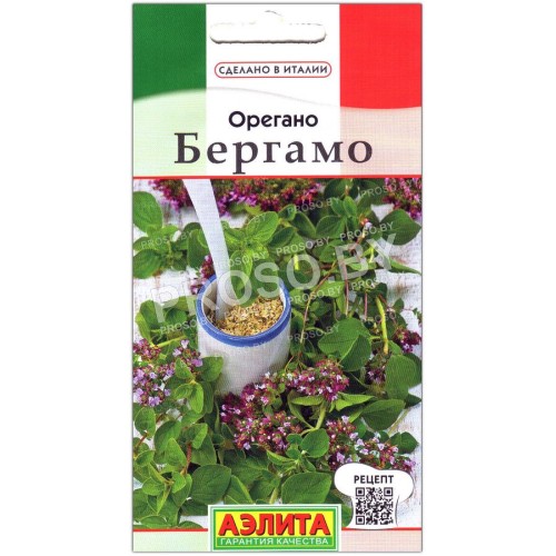Орегано Бергамо