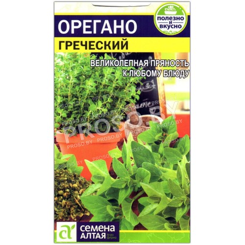 Орегано Греческий