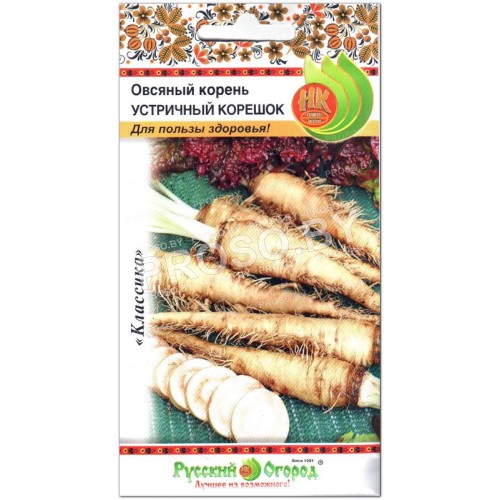Овсяный корень Устричный корешок