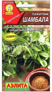 Пажитник Шамбала