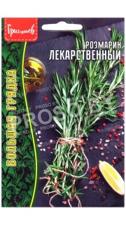 Розмарин Лекарственный
