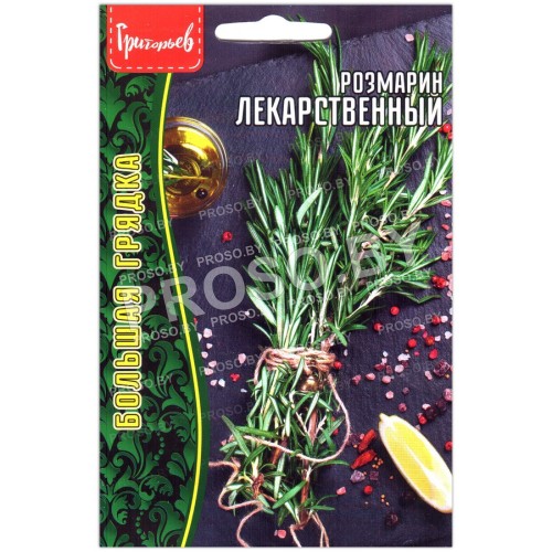 Розмарин Лекарственный