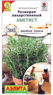Розмарин лекарственный Аметист