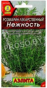 Розмарин Нежность