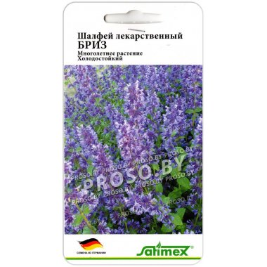 Шалфей лекарственный Бриз