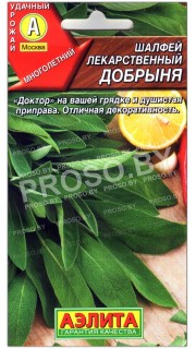 Шалфей лекарственный Добрыня
