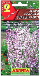 Шалфей мускатный Вознесенский 24