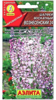 Шалфей мускатный Вознесенский 24
