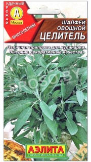 Шалфей овощной Целитель