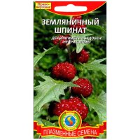 Шпинат Земляничный