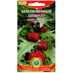 Шпинат Земляничный