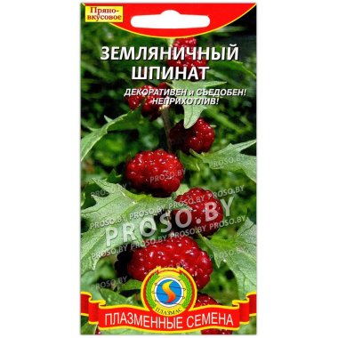 Шпинат Земляничный