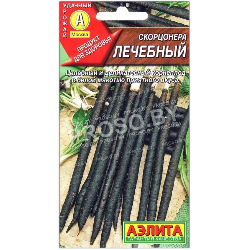 Скорцонера Лечебный-2