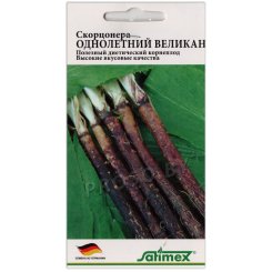 Скорцонера Однолетний великан