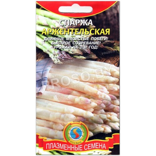 Спаржа Аржентельская-1