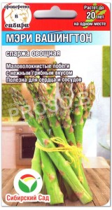 Спаржа овощная Мэри Вашингтон